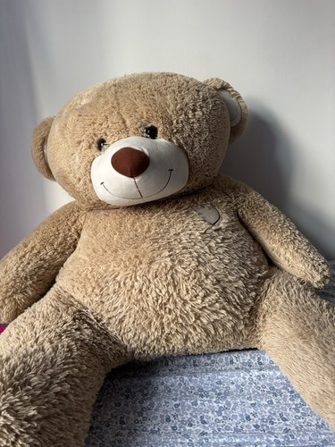 Orsetto del cuore peluche
